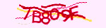 Mã bảo mật